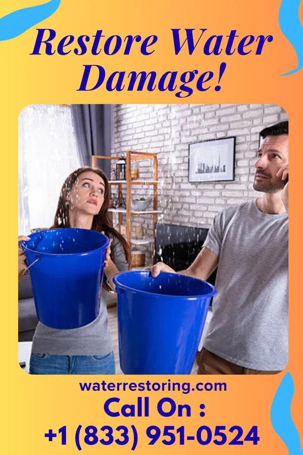 water restoration Frontier Damage Restoration Pros Bannockburn