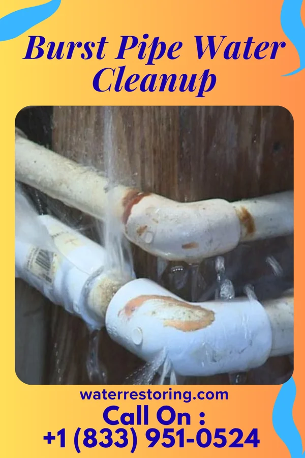 Burst Pipe Water Cleanup in Bannockburn, IL